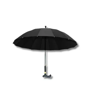 Canne de marche Parapluie