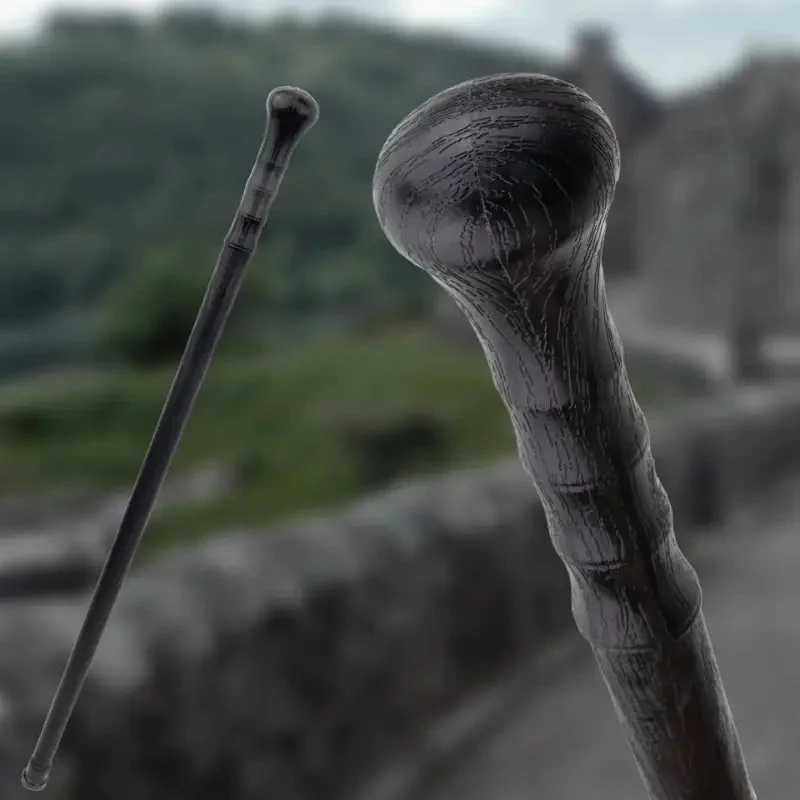 Canne de marche élégante