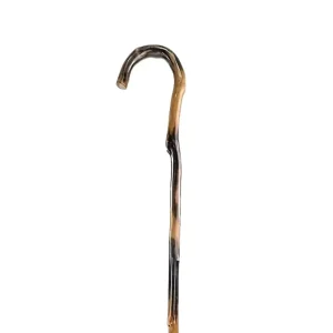 Canne en bois massif