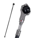 Canne épée Griffe de Dragon