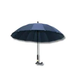 Canne Parapluie Bleu Marine