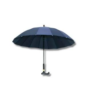 Canne Parapluie Bleu Marine
