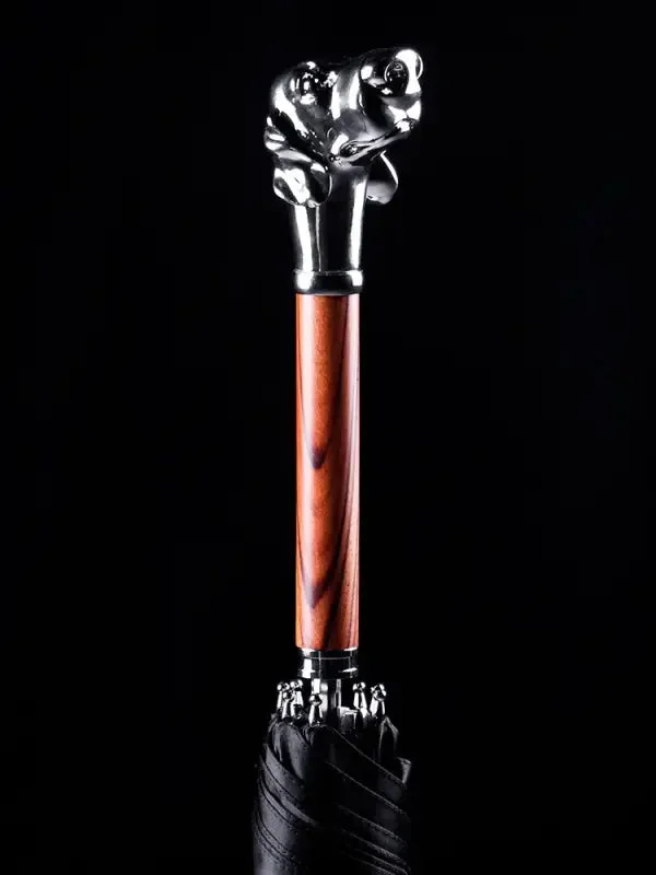 Parapluie Canne de Luxe