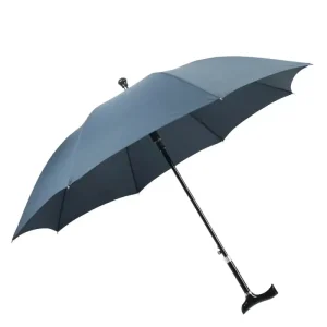 Parapluie canne Homme